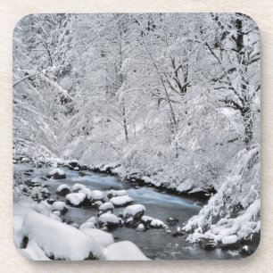 Schneebach Creek, Oregon, landschaftlich schön Getränkeuntersetzer