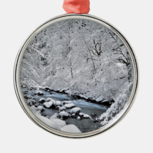 Schneebach Creek, Oregon, landschaftlich schön Ornament Aus Metall