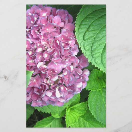 Schneeball Briefpapier (Vorderseite)