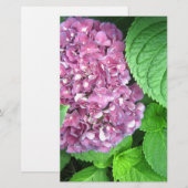 Schneeball Briefpapier (Vorne/Hinten)