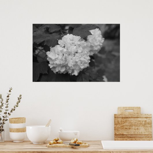 Schneeball im Frühling Poster (Küche)