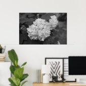 Schneeball im Frühling Poster (Heimbüro)