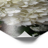 Schneeballbaum Fotodruck (Ecke)