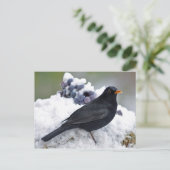 Schneebälle Postkarte (Stehend Vorderseite)