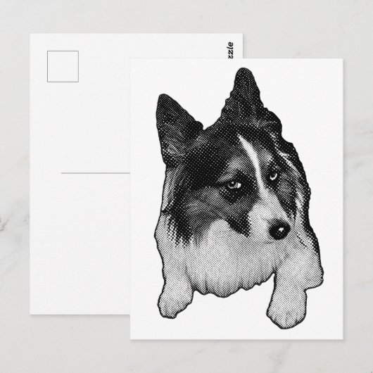 Schneeballebene Postkarte (Vorne/Hinten)