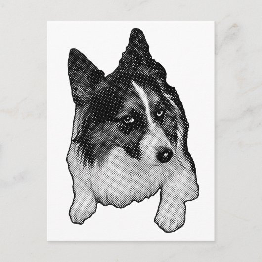 Schneeballebene Postkarte (Vorderseite)