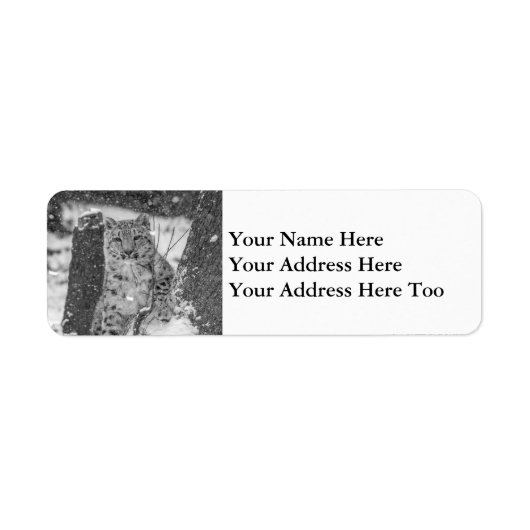 Schneeballgräber aus einem Schneebaum (Vorne)