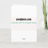 Schneeballkampf Feiertagskarte (Rückseite)