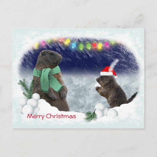 Schneeballkämpferkarte Postkarte (Vorderseite)