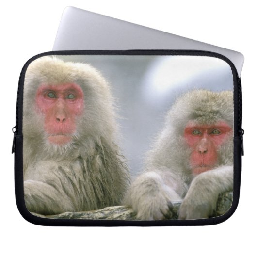 Schneeballkuchen, japanischer Macaque, Laptopschutzhülle (Vorderseite)