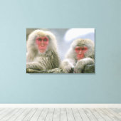 Schneeballkuchen, japanischer Macaque, Leinwanddruck (Insitu (Holzboden))