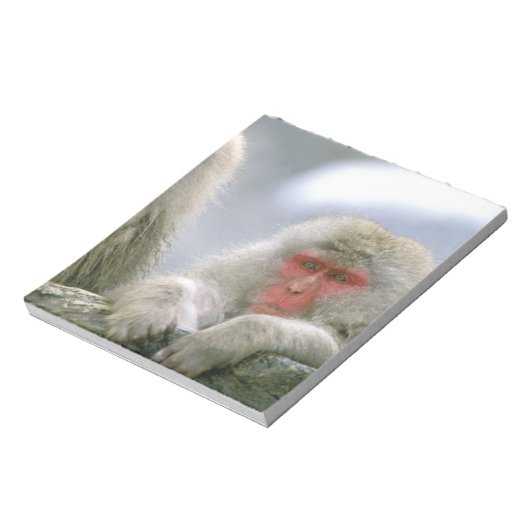 Schneeballkuchen, japanischer Macaque, Notizblock (Rotiert)