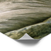 Schneeballkuchen, japanischer Macaque, Poster (Ecke)