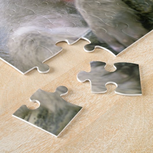 Schneeballkuchen, japanischer Macaque, Puzzle (Seite)