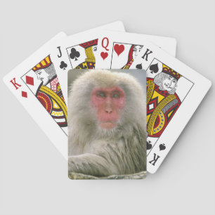 Schneeballkuchen, japanischer Macaque, Spielkarten