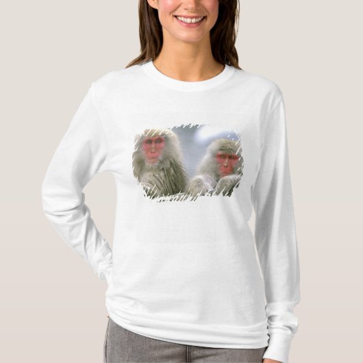 Schneeballkuchen, japanischer Macaque, T-Shirt (Vorderseite)