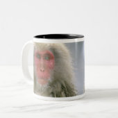 Schneeballkuchen, japanischer Macaque, Zweifarbige Tasse (Vorderseite Links)