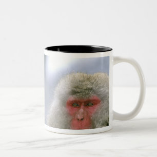 Schneeballkuchen, japanischer Macaque, Zweifarbige Tasse