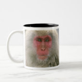 Schneeballkuchen, japanischer Macaque, Zweifarbige Tasse (Links)