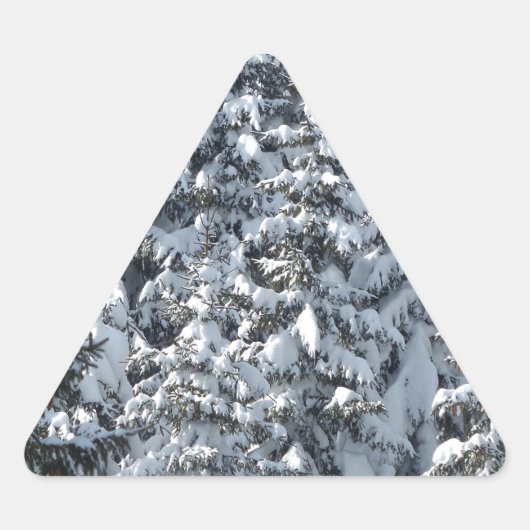 Schneeballstruktur Dreieckiger Aufkleber (Vorderseite)