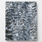 Schneeballstruktur Fotoplatte (Vorderseite)