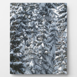 Schneeballstruktur Fotoplatte
