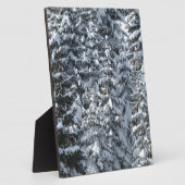 Schneeballstruktur Fotoplatte (Seite)