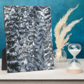 Schneeballstruktur Fotoplatte (Seite)