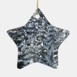 Schneeballstruktur Keramikornament