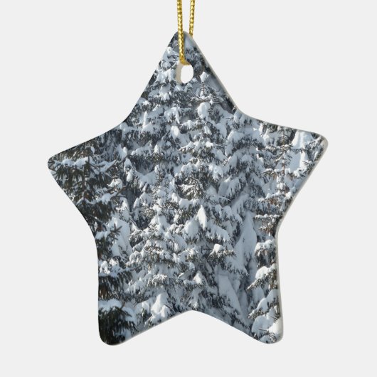 Schneeballstruktur Keramikornament (Links)