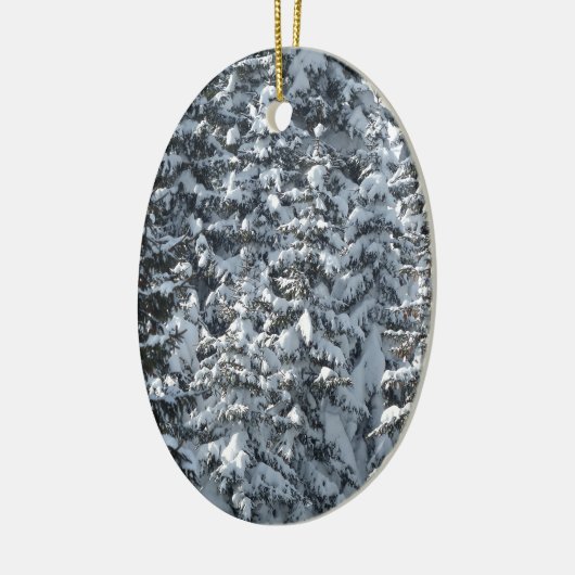 Schneeballstruktur Keramikornament (Links)