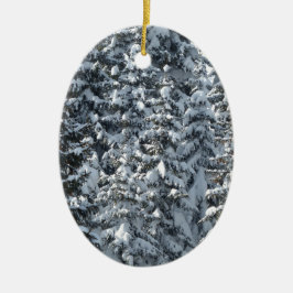 Schneeballstruktur Keramikornament