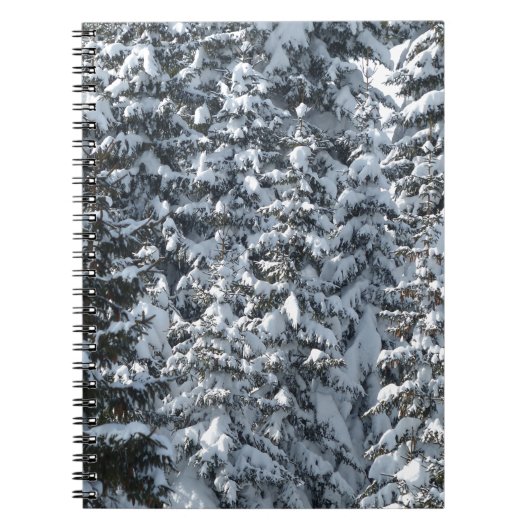 Schneeballstruktur Notizblock (Vorderseite)