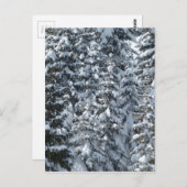 Schneeballstruktur Postkarte (Vorne/Hinten)