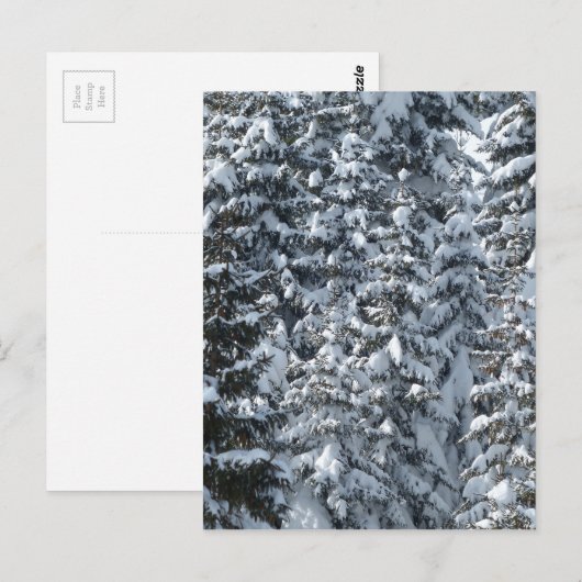 Schneeballstruktur Postkarte (Vorne/Hinten)