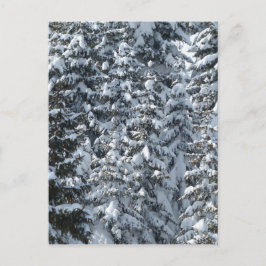 Schneeballstruktur Postkarte