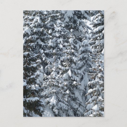 Schneeballstruktur Postkarte (Vorderseite)