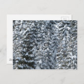 Schneeballstruktur Postkarte (Vorne/Hinten)