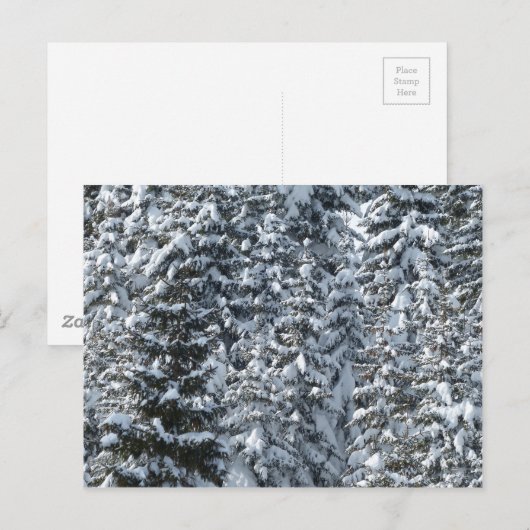 Schneeballstruktur Postkarte (Vorne/Hinten)