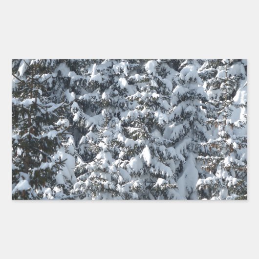 Schneeballstruktur Rechteckiger Aufkleber (Vorderseite)