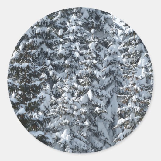 Schneeballstruktur Runder Aufkleber (Vorderseite)