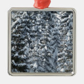 Schneeballstruktur Silbernes Ornament (Vorne)
