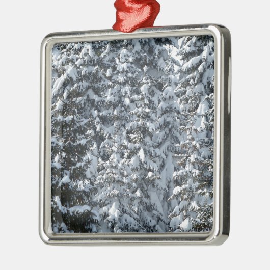 Schneeballstruktur Silbernes Ornament (Links)