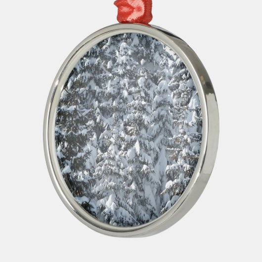 Schneeballstruktur Silbernes Ornament (Links)