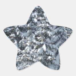 Schneeballstruktur Stern-Aufkleber