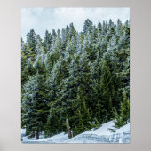 Schneeballwald // Pinienwald Poster (Vorne)