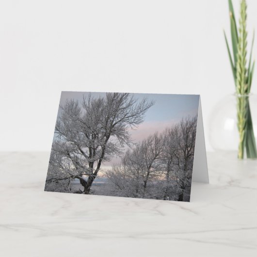 Schneeballzweige Karte (Vorderseite)