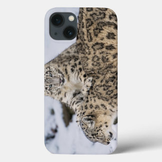 Schneebänder: Case-Mate iPhone Hülle
