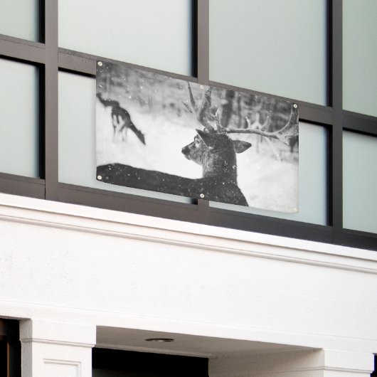 SCHNEEBanner mit KRAFTSTOFFEN Banner (Äußeres Gebäude)