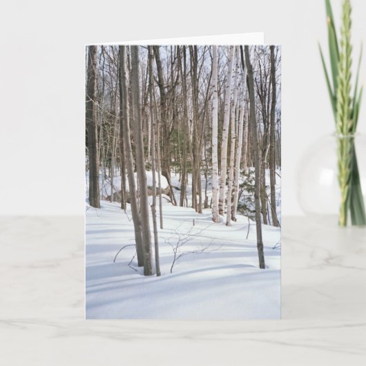 Schneebären Feiertagskarte (Vorderseite)